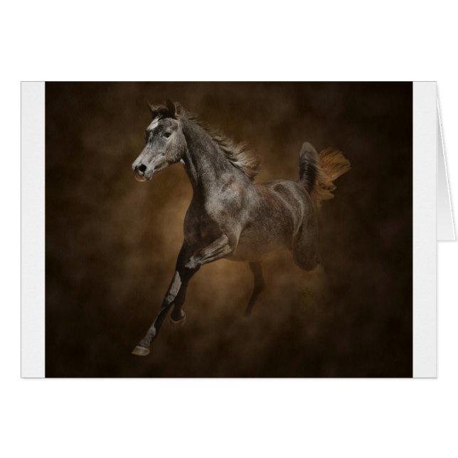 Cartão Através da poeira (Frente Horizontal)