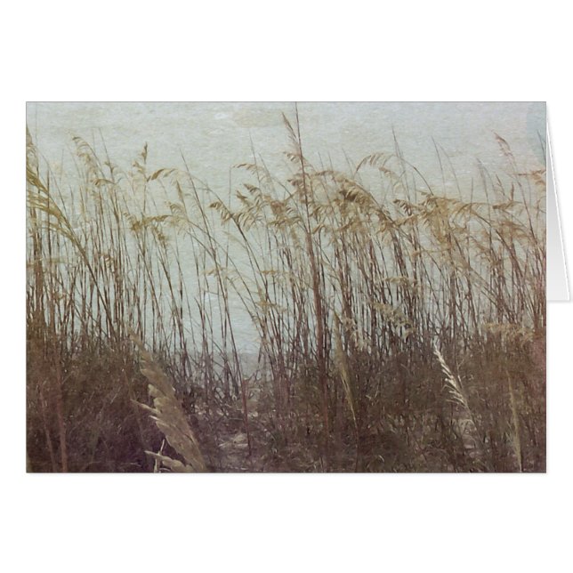 Cartão Através das Dunas II (Frente Horizontal)