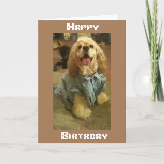 CARTÃO *ATRAVÉS DOS MILES* QUERIA QUE ESTIVESSE NO ANIVER (Frente)