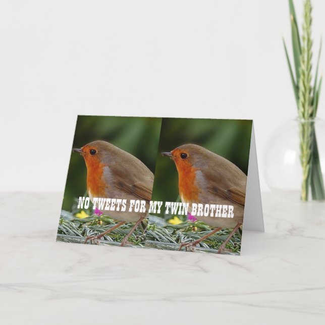 CARTÃO ATRAVÉS DOS MILHOS ATÉ *IRMÃO GÊMEO* ANIVERSÁRIO (Frente)