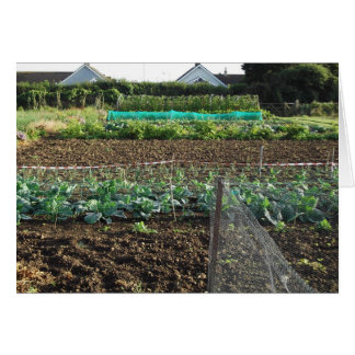 Cartão Atribuição