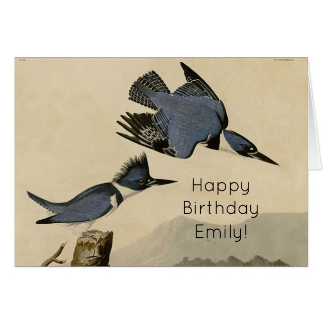 Cartão Audubon Belfisher Kingfisher Wildlife Bird (Frente Horizontal)