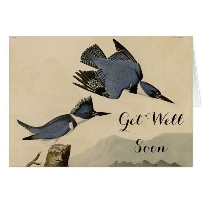 Cartão Audubon Belfisher Kingfisher Wildlife Bird (Frente Horizontal)