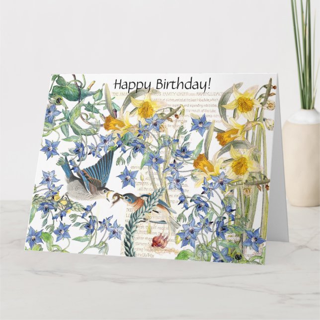 Cartão Audubon Bluebird Bird Floral Birthday Card (Frente)