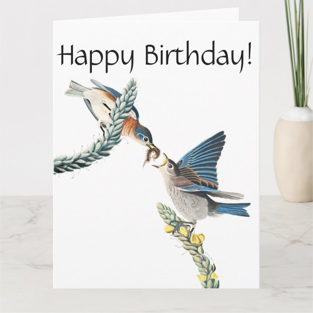 Cartão Audubon Bluebird Bird Wildlife Birthday Card (Frente)