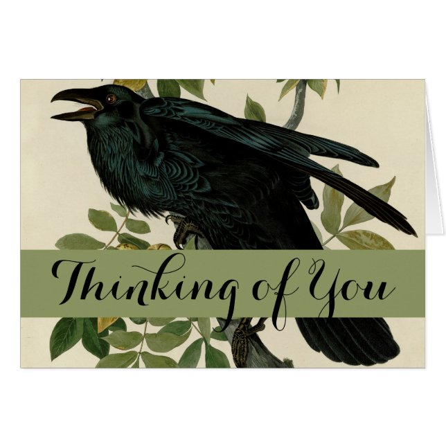 Cartão Audubon Raven Bird Classic Trabalho de arte (Frente Horizontal)