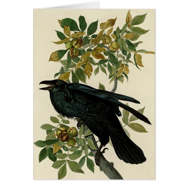 Cartão Audubon Raven Bird Classic Trabalho de arte (Frente)