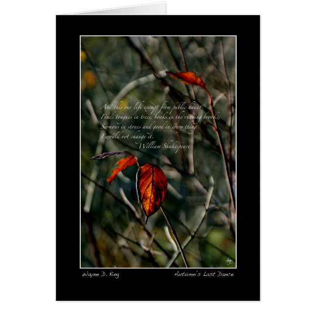 Cartão Aumenta a Última Dança com Shakespeare (Frente)