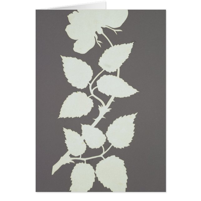 Cartão Aumentou (Frente)