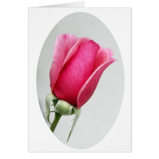 Cartão Aumentou no Oval (Frente)