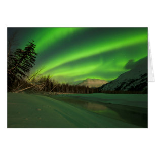 Cartão Aurora Banida