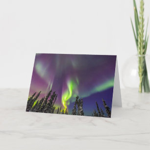 Cartão Aurora Boreal Fairbanks, Alasca