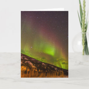 Cartão Aurora Boreal   Montanhas Fairbanks Alasca