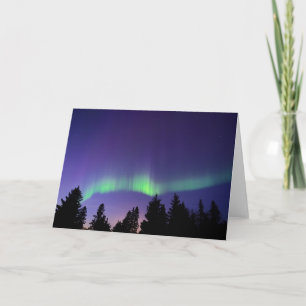 Cartão Aurora Borealis & Árvores Manitoba, Canadá