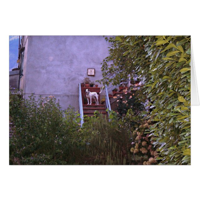 Cartão Aurora da casa de campo (Frente horizontal)