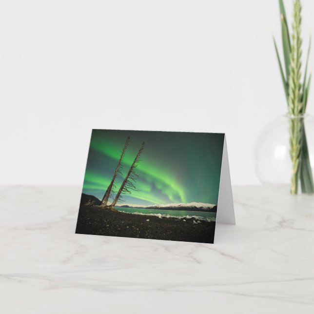 Cartão Aurora de árvore inclinada (Frente)