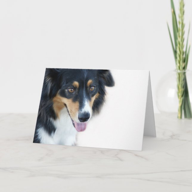 Cartão Aussie Dog Blank Card (Frente)