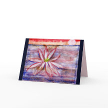 Australia water lily greeting card sends happiness