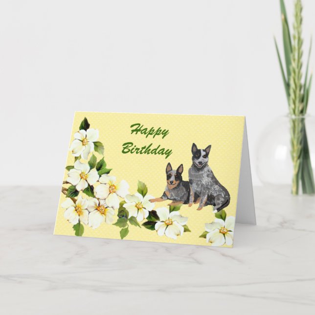 Cartão Australian Cattle Dog Happy Birthday (Frente)
