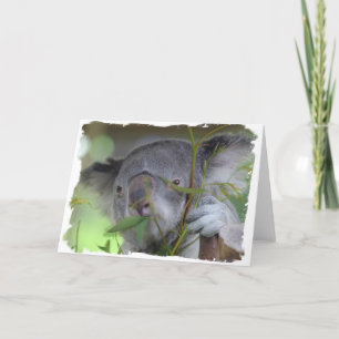Cartão Australian Koala Greeting Card