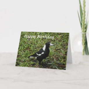 Cartão Australian Magpie Happy Birthday Card