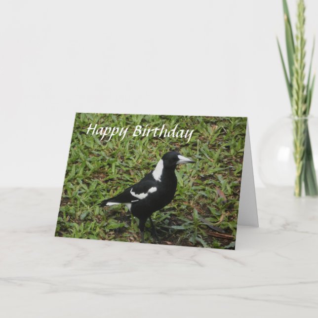 Cartão Australian Magpie Happy Birthday Card (Frente)