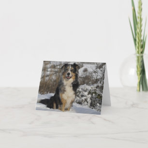 Cartão Australian Shepherd Aussie Dog Hello Love