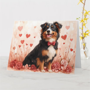 Cartão Australian Shepherd com Rosas - Dia dos Namorados