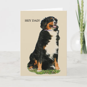 Cartão Australian Shepherd Father's Day