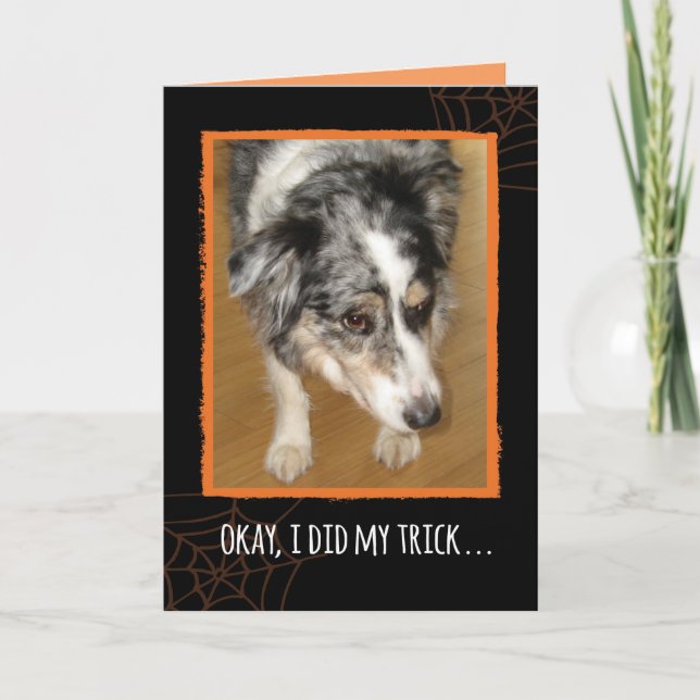 Cartão Australian Shepherd Halloween Trick and Treats (Frente)