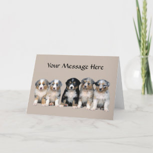 Cartão Australian Shepherd Puppies Greeting Card