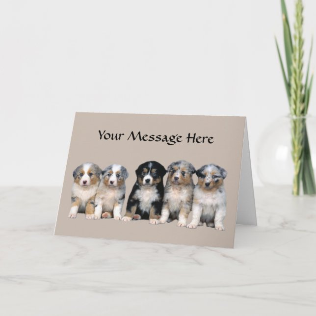 Cartão Australian Shepherd Puppies Greeting Card (Frente)