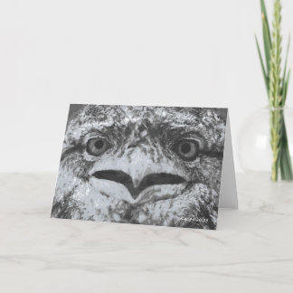 Cartão Australian Wildlife, Nature's Curmudgeon, Animal