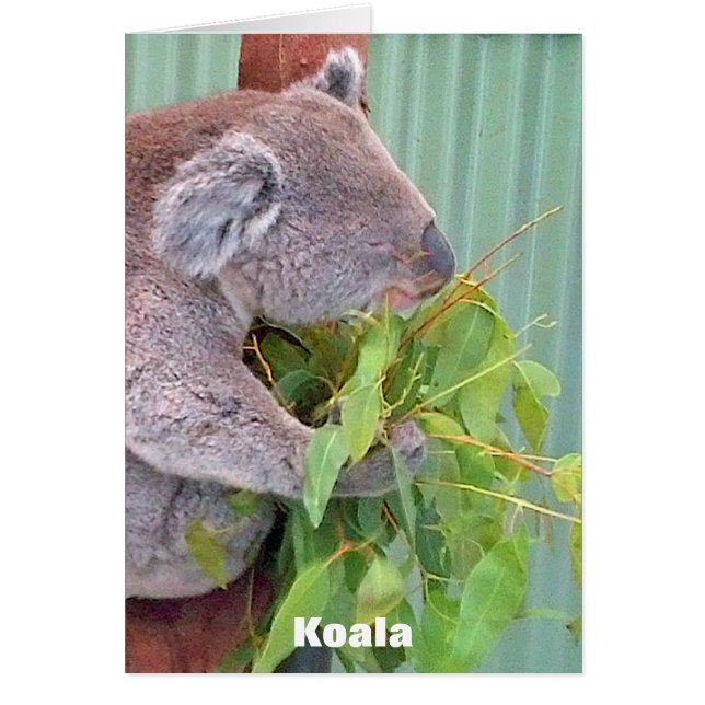 Cartão australiano dos animais selvagens (Frente)