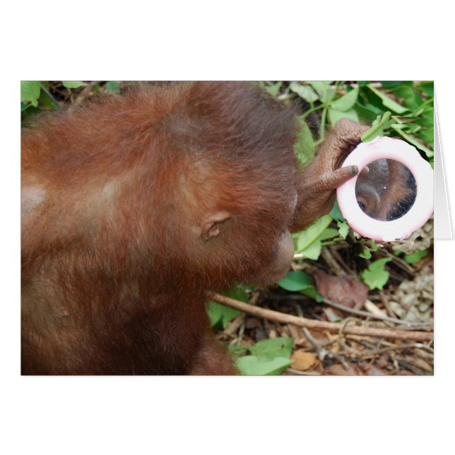 Cartão Auto lindo da admiração olá! (Frente Horizontal)