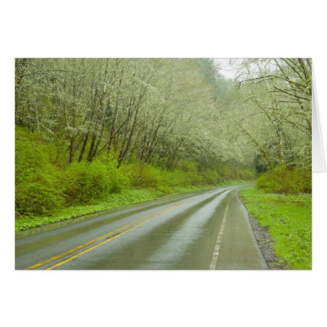 Cartão Autoestrada remota através da floresta (Frente Horizontal)