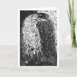 Cartão Autoplaca sombra Raven