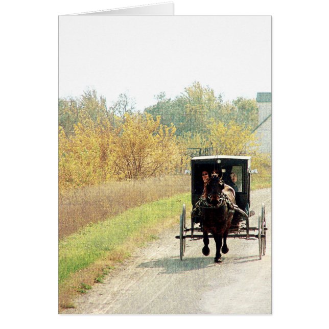Cartão Autumn Amish Horse and Buggy (Frente)