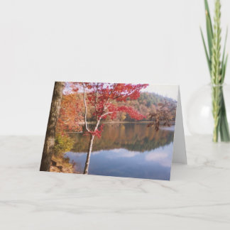 Cartão Autumn Beauty