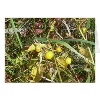 Cartão Autumn Berries