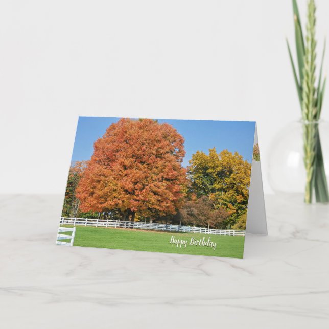 Cartão Autumn Birthday Oak Tree (Frente)