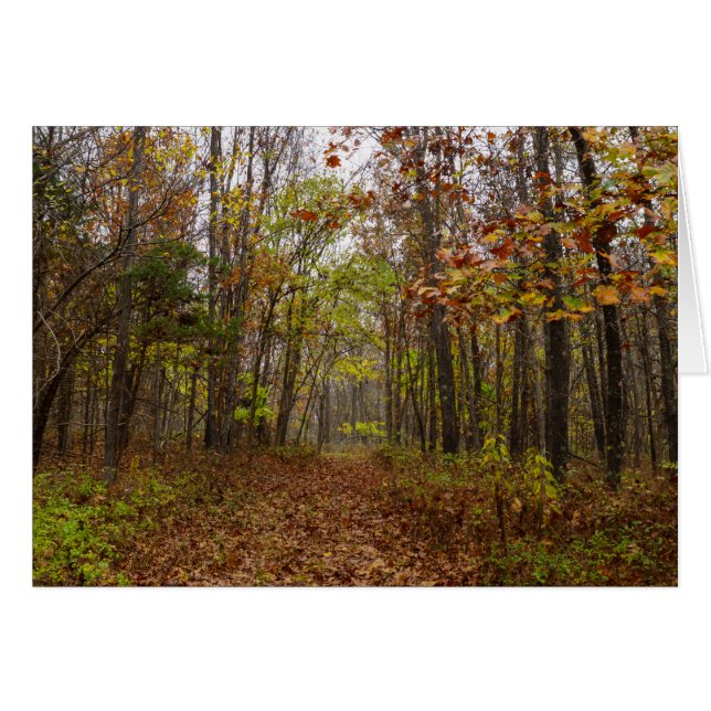 Cartão Autumn Bliss (Frente horizontal)