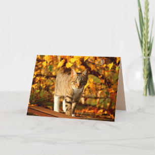 Cartão autumn cat greeting card