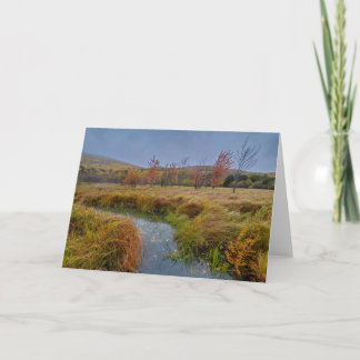 Cartão Autumn color in Acadia National Park