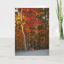 Cartão Autumn Colors Brighten Any Day