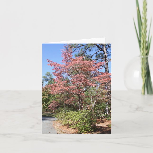 CARTÃO AUTUMN DOGWOOD (Frente)