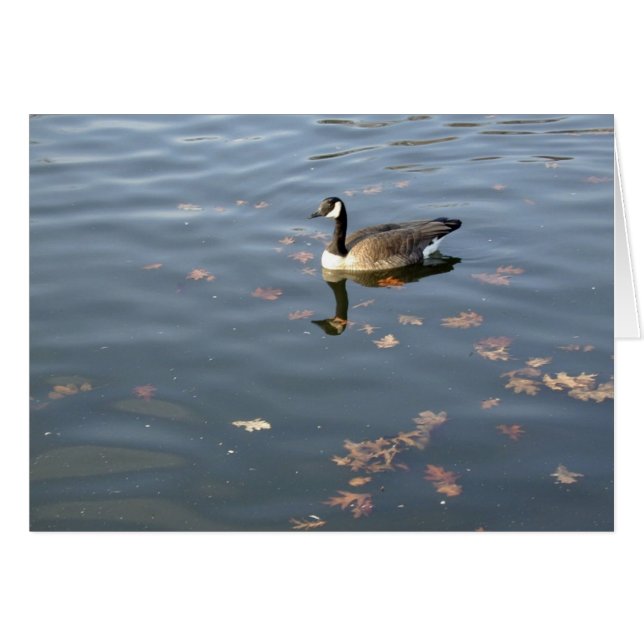 Cartão Autumn Goose (Frente Horizontal)