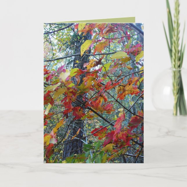 Cartão Autumn Incarnate (Frente)