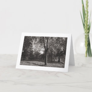 Cartão Autumn Landscape, Bute Park, Cardiff (delimitado)