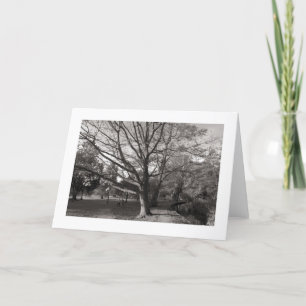 Cartão Autumn Landscape, Bute Park, Cardiff (delimitado)